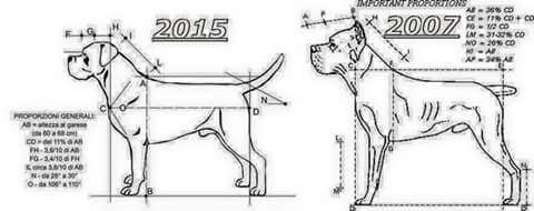 2007vs2015